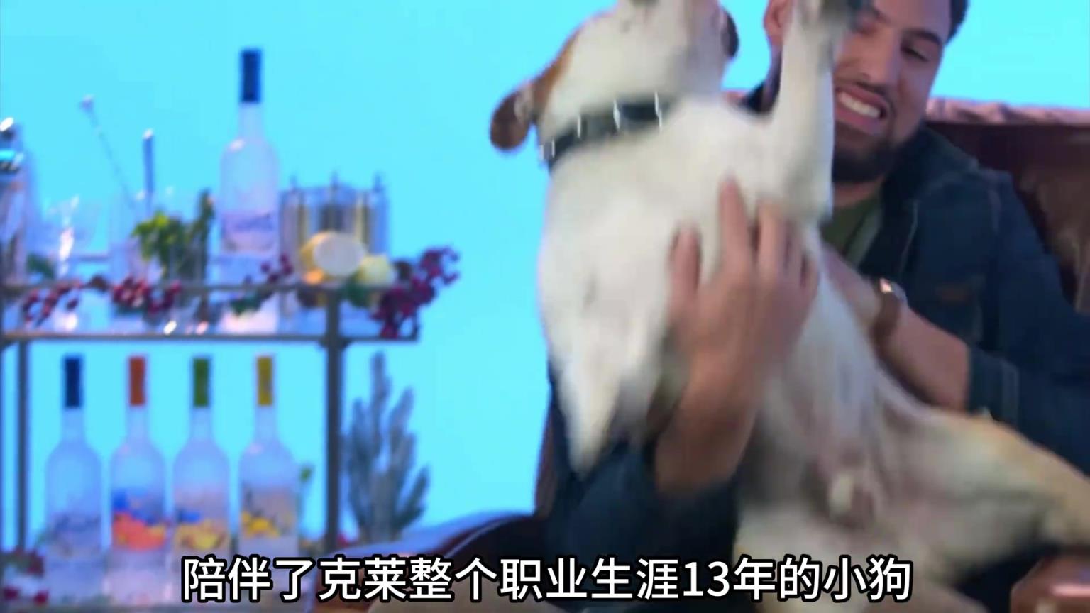 陪伴克萊13年的小狗去世了，不敢相信克萊得多么傷心